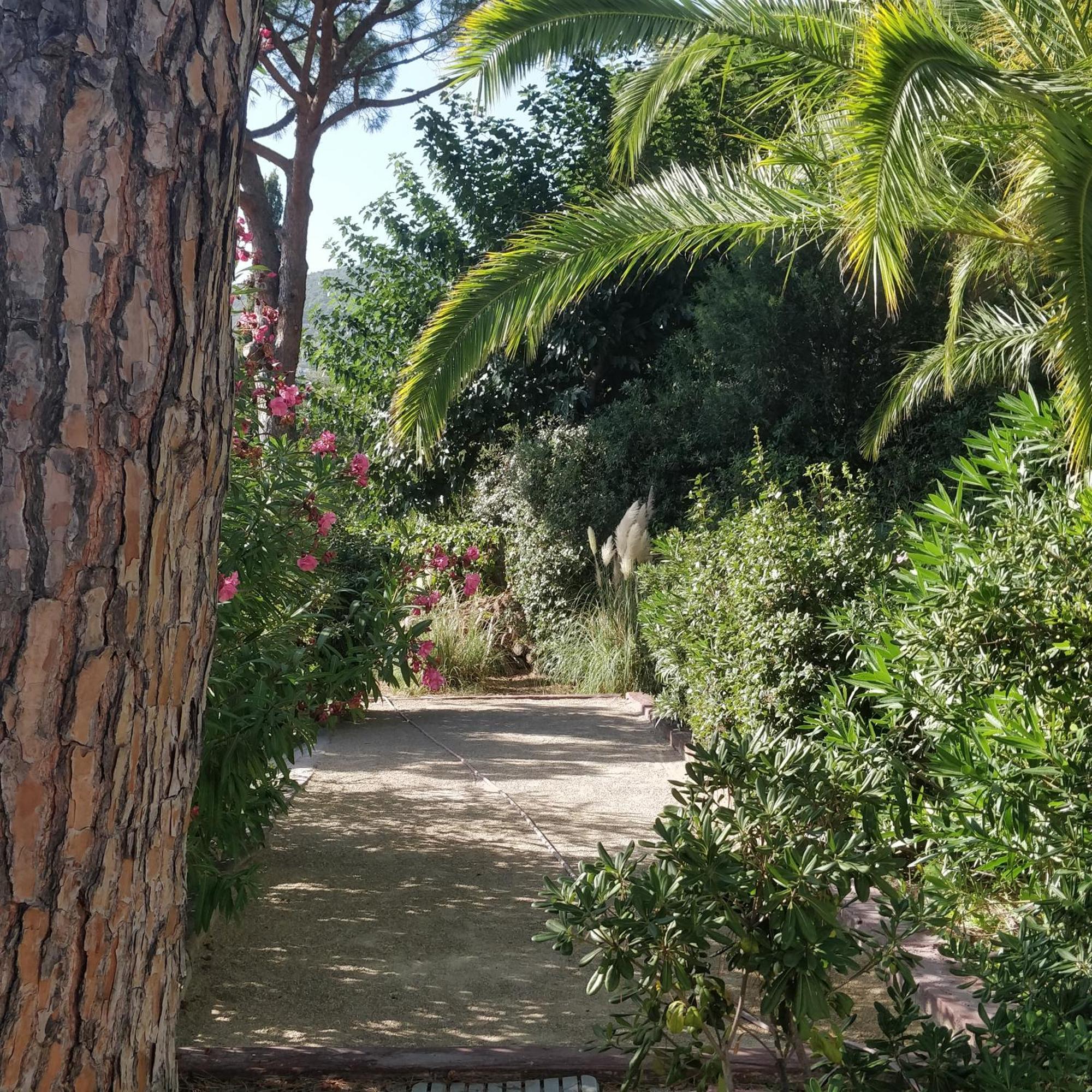 La Beluga Hotel Sainte-Maxime Exterior photo